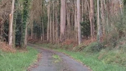 Uno de los caminos en los que actuará el Concello