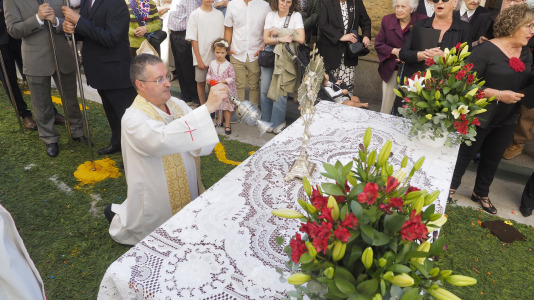 Alfombras florales de Ares (43)