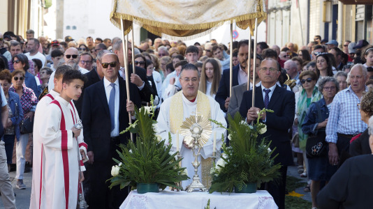 Alfombras florales de Ares (25)
