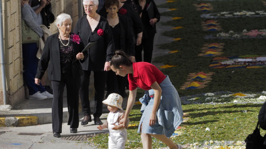 Alfombras florales de Ares (53)
