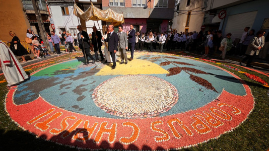 Alfombras florales de Ares (71)