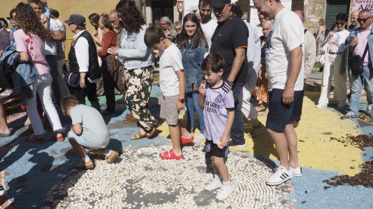 Alfombras florales de Ares (31)