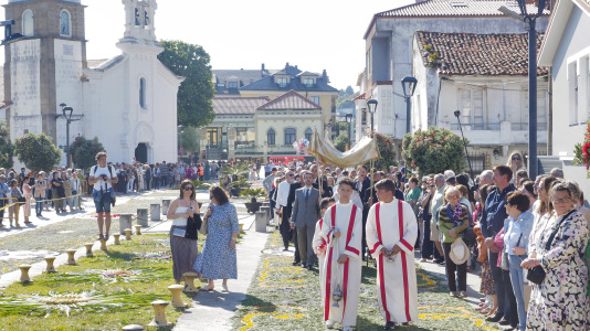 Alfombras florales de Ares (69)