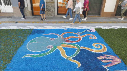 Alfombras florales de Ares (4)