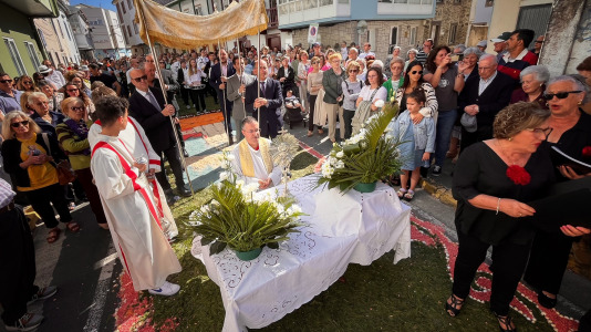 Alfombras florales de Ares (72)