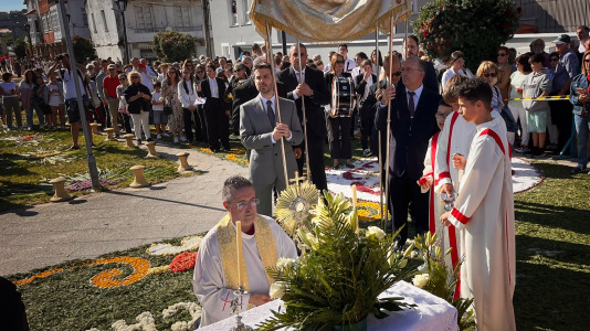 Alfombras florales de Ares (75)