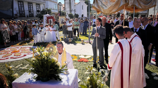Alfombras florales de Ares (76)