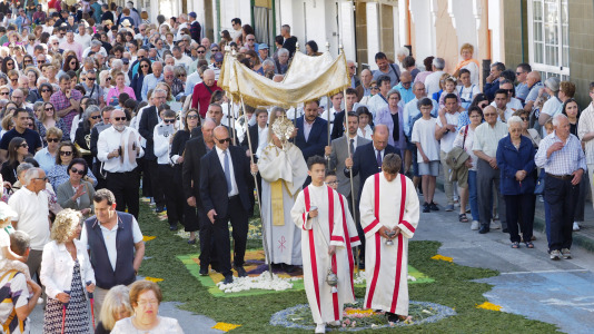 Alfombras florales de Ares (28)