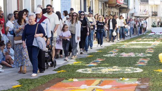 Alfombras florales de Ares (16)