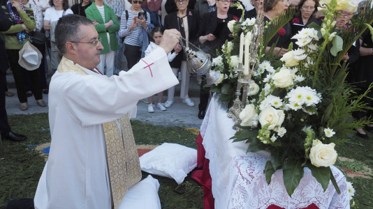 Alfombras florales de Ares (21)
