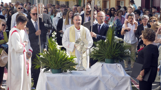 Alfombras florales de Ares (35)