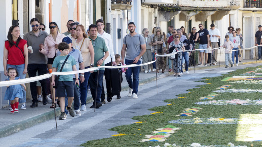 Alfombras florales de Ares (11)