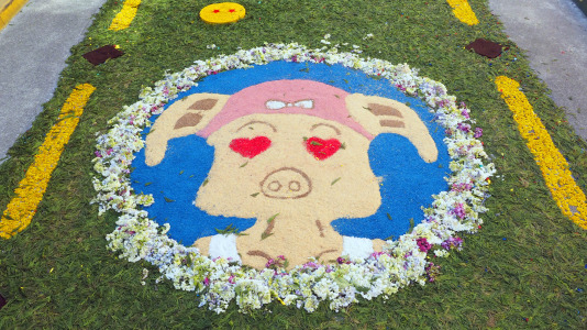 Alfombras florales de Ares (37)