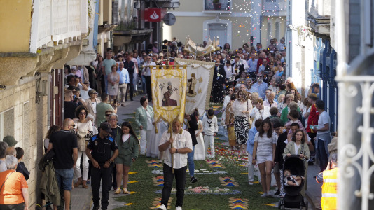 Alfombras florales de Ares (55)