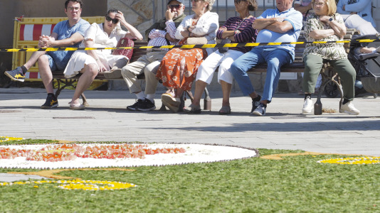 Alfombras florales de Ares (15)