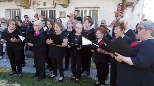 Alfombras florales de Ares (20)