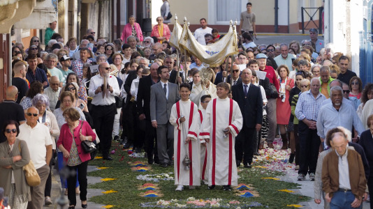 Alfombras florales de Ares (56)