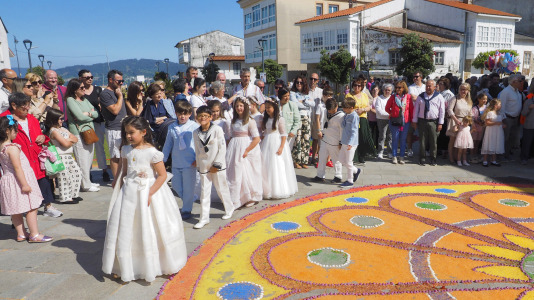 Alfombras florales de Ares (17)