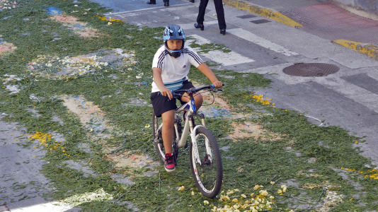 Alfombras florales de Ares (54)