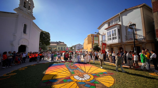 Alfombras florales de Ares (73)