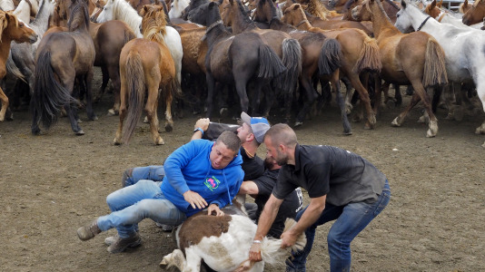 Rapa das Bestas A Capelada Cedeira (107)