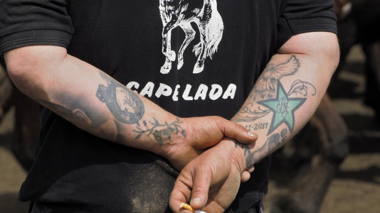 Rapa das Bestas A Capelada Cedeira (49)
