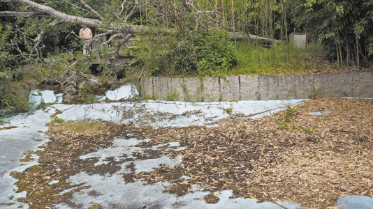 VISITA A AQUA CIENCIA ANTES DE SU ARREGLO (29)