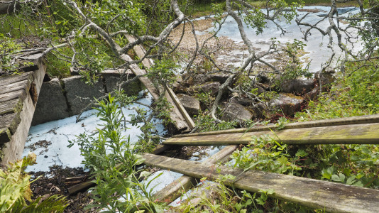 VISITA A AQUA CIENCIA ANTES DE SU ARREGLO (25)