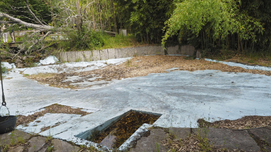 VISITA A AQUA CIENCIA ANTES DE SU ARREGLO (28)