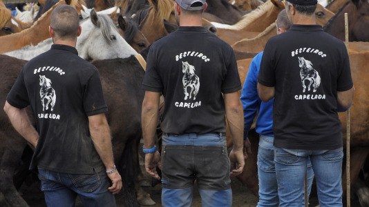 Rapa das Bestas A Capelada Cedeira (90)