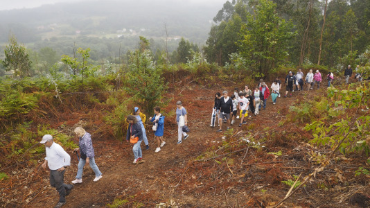 Castro de Esmelle visita guiada (4)
