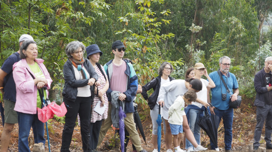 Castro de Esmelle visita guiada (16)