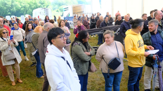 Romería de la O en Pedroso 026