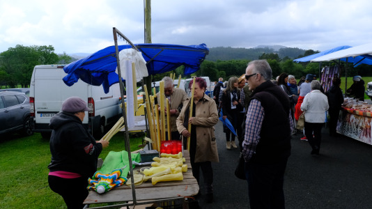 Romería de la O en Pedroso 011