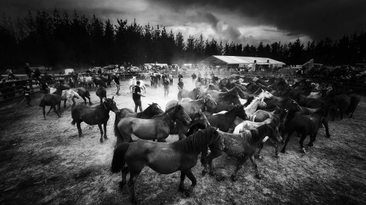 Rapa das bestas A Capelada Cedeira (Jorge Meis) (92)