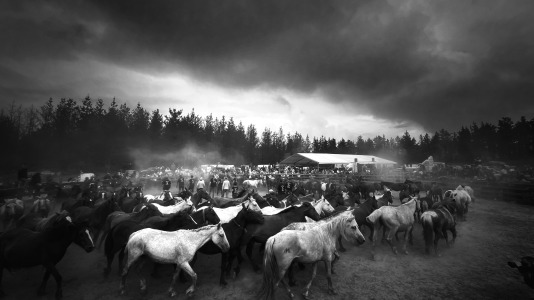 Rapa das bestas A Capelada Cedeira (Jorge Meis) (93)