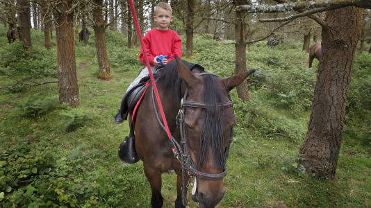 Rapa das bestas A Capelada Cedeira (Jorge Meis) (89)