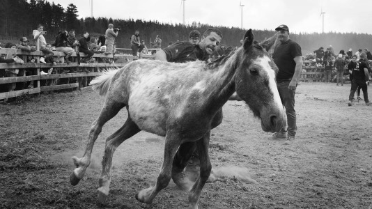 Rapa das bestas A Capelada Cedeira (Jorge Meis) (84)