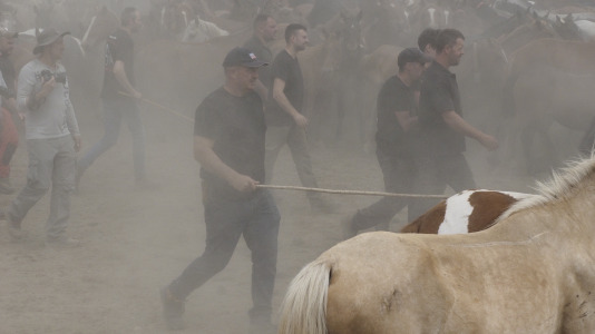 Rapa das bestas A Capelada Cedeira (Jorge Meis) (77)