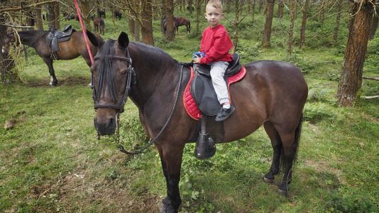 Rapa das bestas A Capelada Cedeira (Jorge Meis) (90)