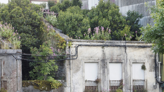 Calle Carlos III de Ferrol (Jorge Meis) (82)