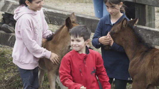 Rapa das bestas A Capelada Cedeira (Jorge Meis) (73)