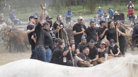 Rapa das bestas A Capelada Cedeira (Jorge Meis) (78)