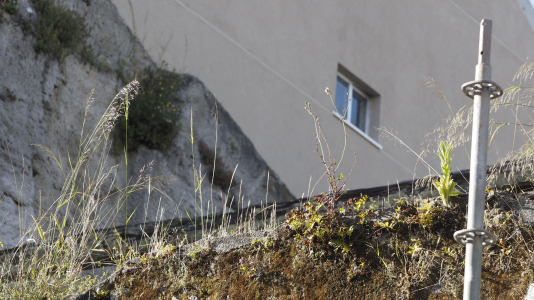 Calle Carlos III de Ferrol (Jorge Meis) (36)