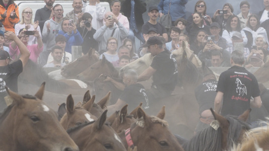 Rapa das bestas A Capelada Cedeira (Jorge Meis) (53)