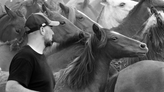 Rapa das bestas A Capelada Cedeira (Jorge Meis) (75)