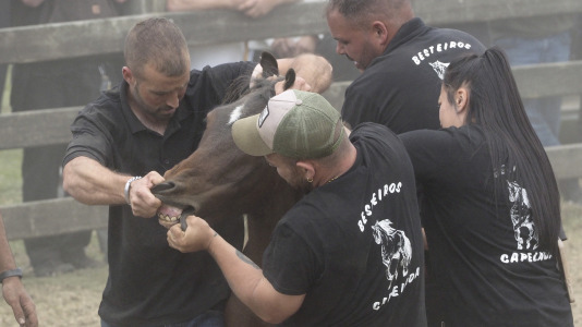 Rapa das bestas A Capelada Cedeira (Jorge Meis) (69)