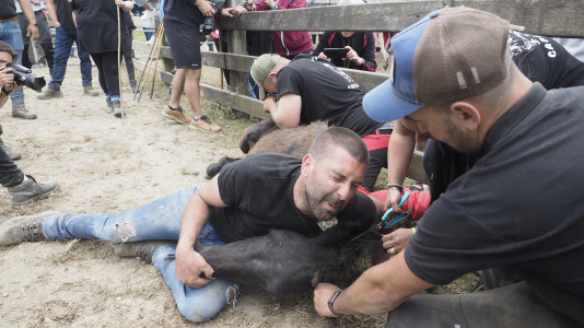 Rapa das bestas A Capelada Cedeira (Jorge Meis) (65)