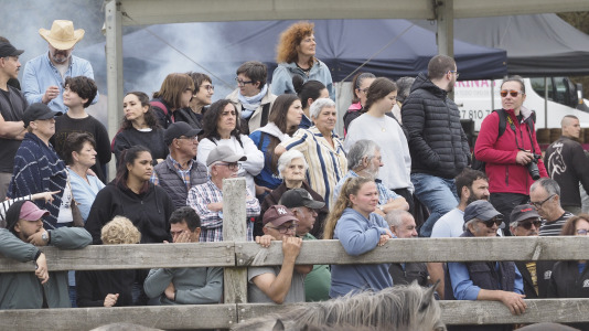 Rapa das bestas A Capelada Cedeira (Jorge Meis) (58)