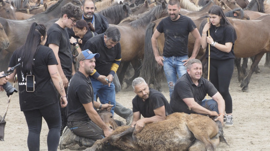 Rapa das bestas A Capelada Cedeira (Jorge Meis) (48)